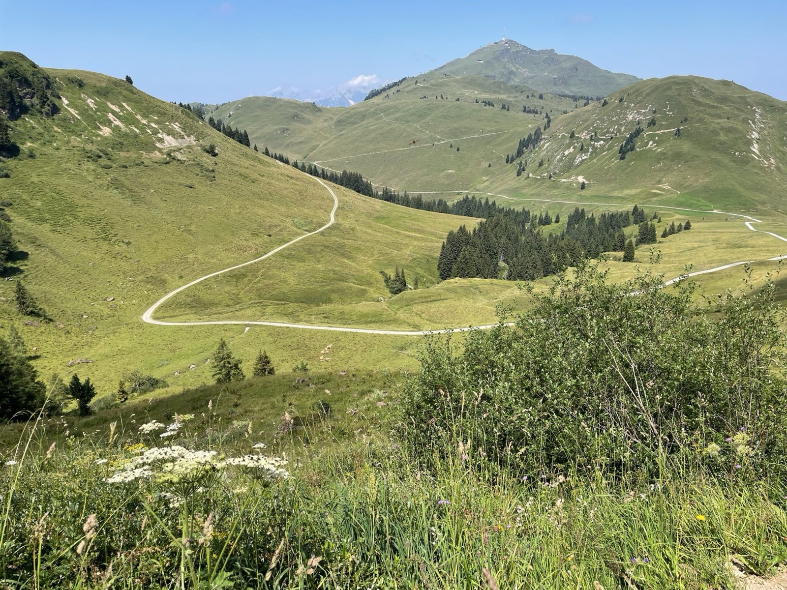 Grüne Berglandschaft im Sommer